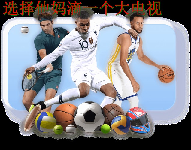 皇冠体育平台入口解析与指南